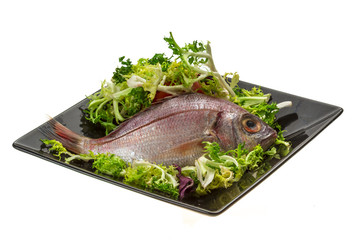 Raw Sea Perch