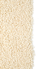 grains of rice