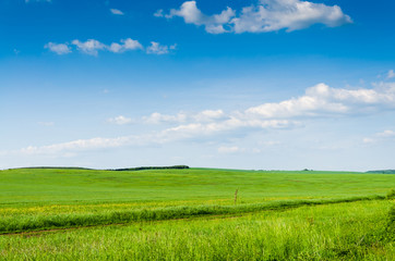 green field background