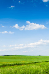 green field background