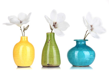 Beautiful magnolia in vases isolated on white