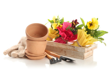 Beautiful spring flowers in wooden crate and gardening tools