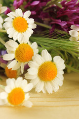 Wild flowers, on wooden background