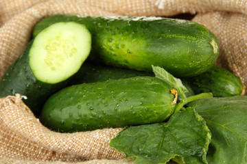 Tasty green cucumbers on sackcloth background