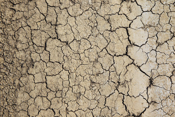 Dry and cracked earth