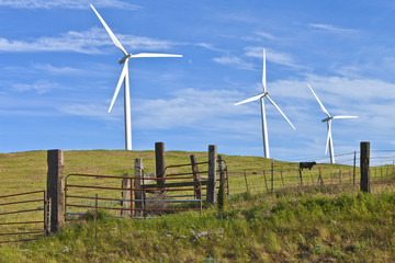 Fototapeta premium Wind power Eastern Washington.