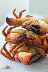 Boiled crabs