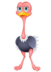 Ostrich cartoon