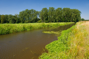 Landscape in Holland