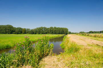 Landscape in Holland
