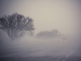 Fototapeta na wymiar Foggy road