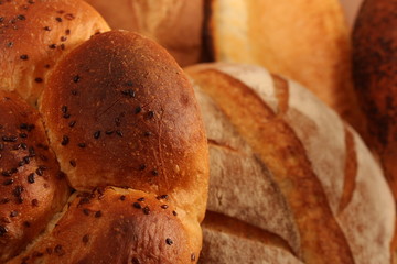 Freshly Breads