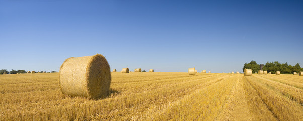 Hay bales, Idyllic rural landscape.