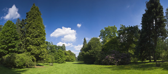 Nature trail, rural scenic