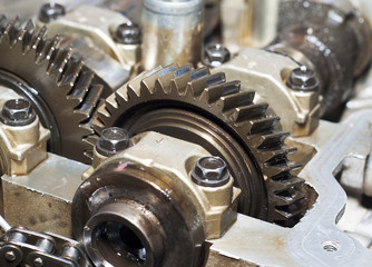 Metal gears group complex industrial mechanism
