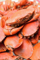 Hot Steamed Blue Crabs