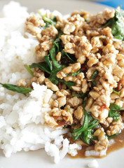 Stir-fried pork with holy basil