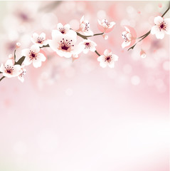 Blossom cherry - Greeting Card 