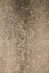 Wooden background