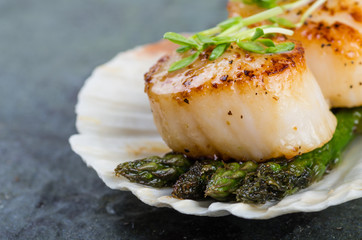Sauteed scallops on the shell with asparagus