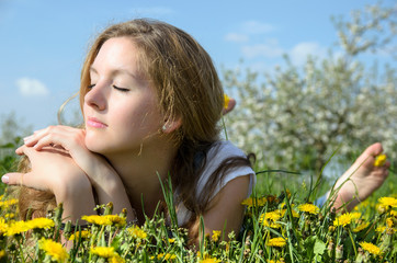 Frühling auf der Wiese: Sonne und Wärme genießen