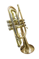 Obraz premium trumpet