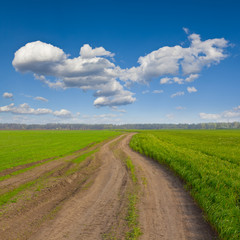 Fototapeta na wymiar road among a fields