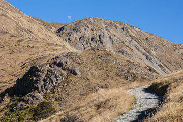 arid slopes on Mt Robert in Nelson Lakes