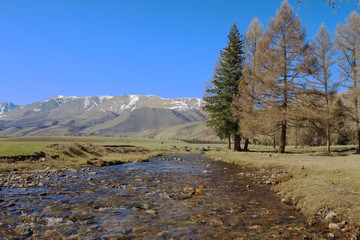 Fototapeta na wymiar The river in mountains