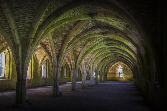 Fountains Abbey  Cellarium