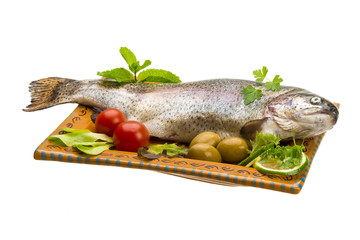 Fresh raw rainbow trout