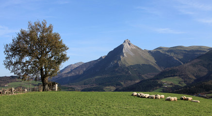 monte txindoki país vasco 5547f