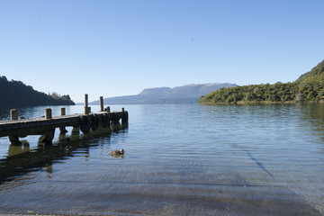 Fototapeta na wymiar Beautiful Lake Tarawera, New Zealand.
