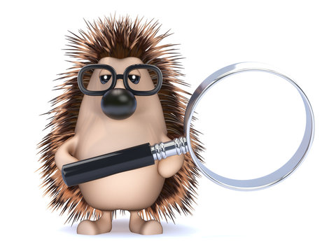 Cute hedgehog has a magnifier