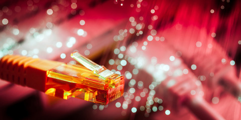 ethernet cable