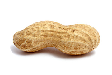 a single peanut on white