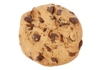chocolate chip cookie on white