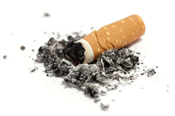 a cigarette butt on white