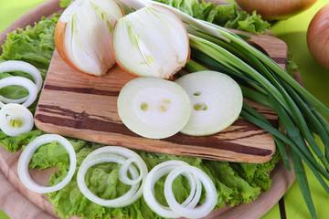 Composition with herbs and onions close-up