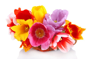 Beautiful tulips in bouquet isolated on white