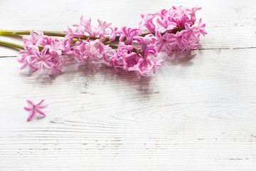 beautiful spring flowers on wooden background
