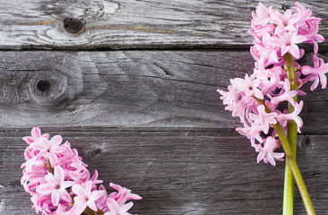 Fototapeta premium beautiful spring flowers on wooden background