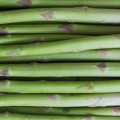 isolated asparagus