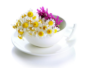 Fototapeta na wymiar Beautiful wild flowers in .cup, isolated on white