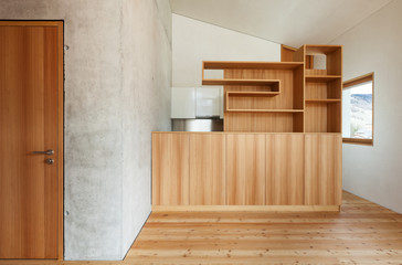 Interior modern chalet