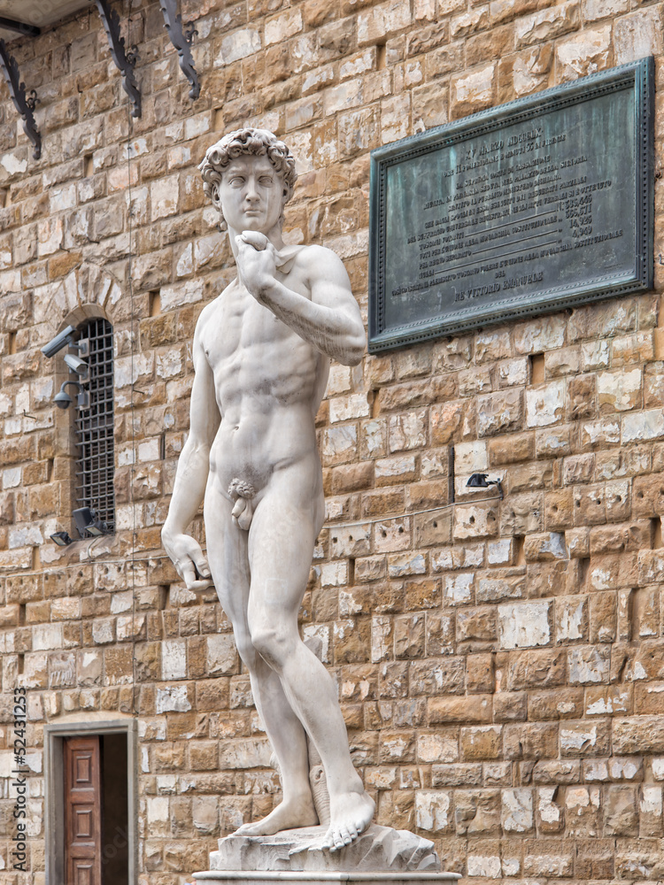 Wall mural david of michelangelo in florence, italy