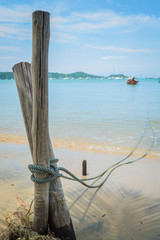 A rope of a boat is tie up with wooden stake