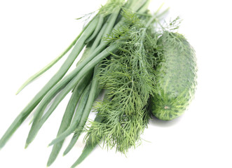 Green dill and cucumbers
