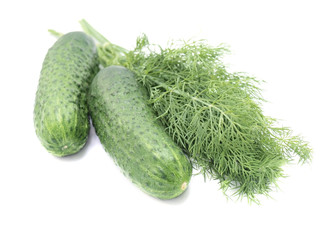 Green dill and cucumbers