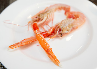 Scampi cut in halves